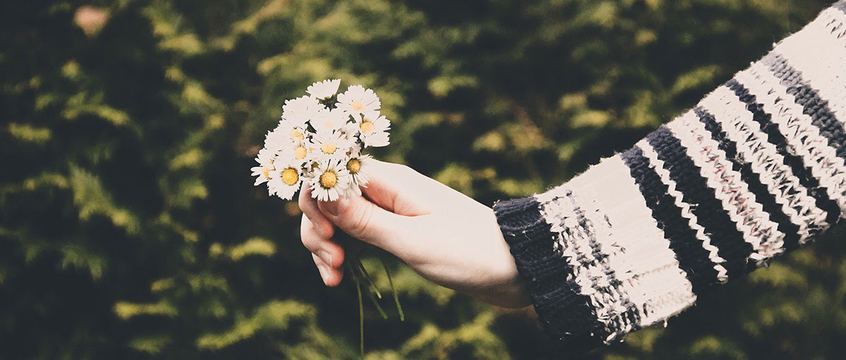 我始终不曾将你当成路人